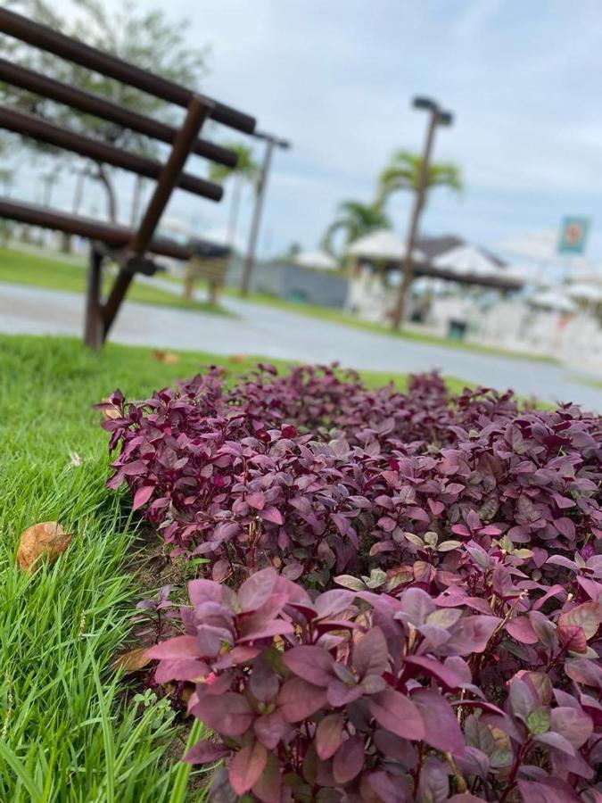 Flat Muro Alto Club Pôrto das Galinhas エクステリア 写真